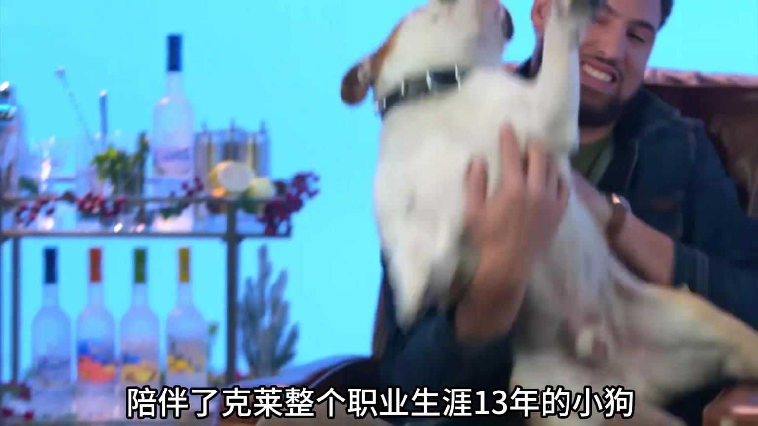 陪伴克萊13年的小狗去世了，不敢相信克萊得多么傷心